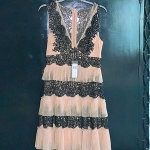 BCBG Nude/Pink and Black Lace Dress.